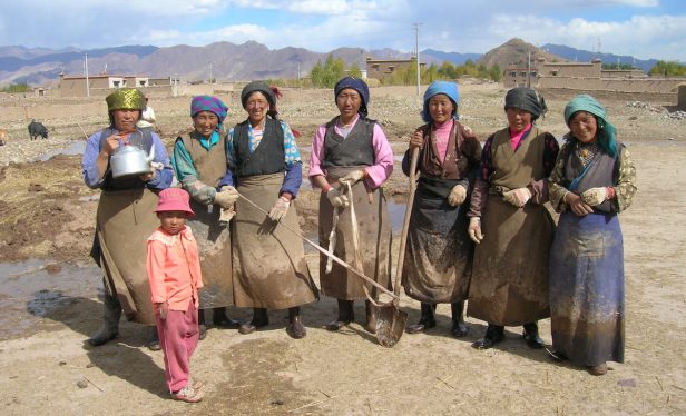 Pix Tibetan women working on the land