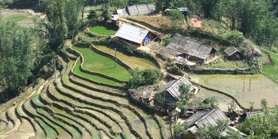 Pix terraced fields