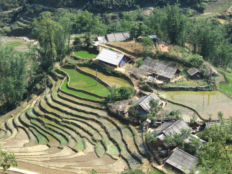 Pix terraced fields